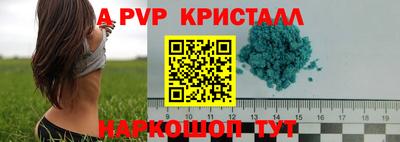 стаф Кунгур