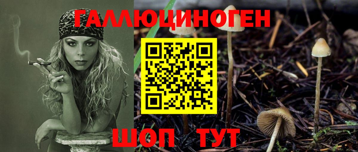Псилоцибиновые грибы Psilocybine cubensis  Псилоцибиновые грибы прущие грибы  Вход с VPN  Рыбинск 